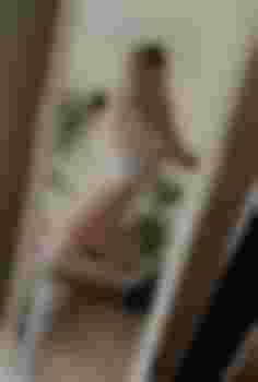 СТЕША главное фото