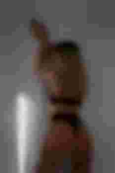 Анастасия фото 5