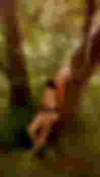 Настенька главное фото