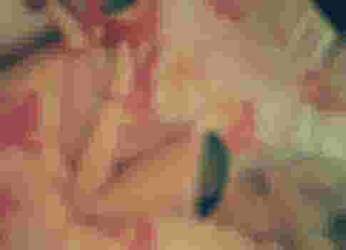 Екатерина главное фото