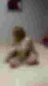 Света от 1000р. фото 5