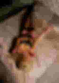 Dana NEW!! фото 2