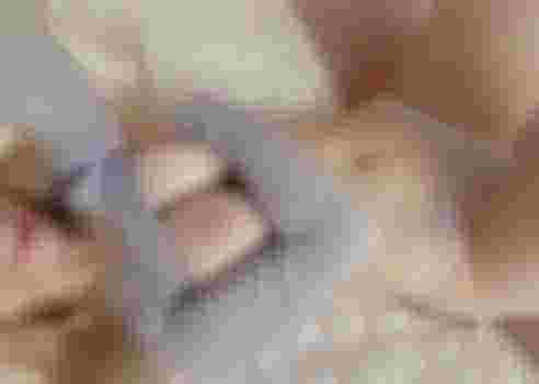 СТЕША фото 3