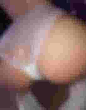 Алиса фото 2