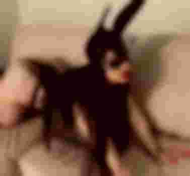 Маргарита главное фото