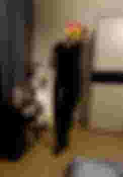 АННУШКА ИНДИ фото 2