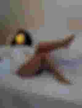 ЕЛЕНА ИНДИ фото 4