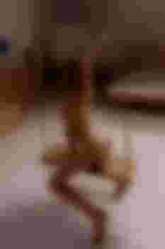 Диана главное фото