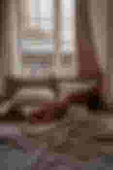 Алиса главное фото