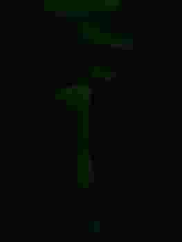 Настя главное фото