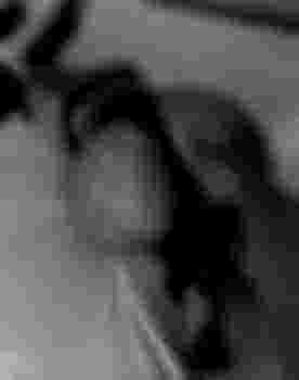 Мила главное фото