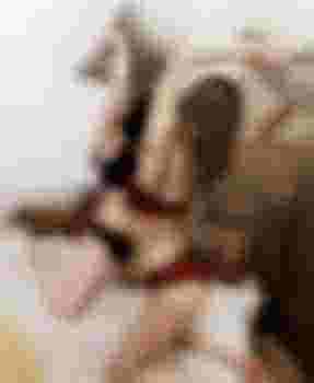 Бесстыдницы фото 8