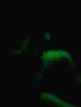 Настя фото 2