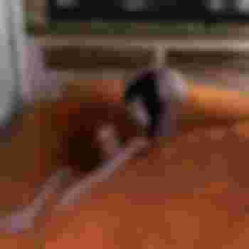 Искра главное фото