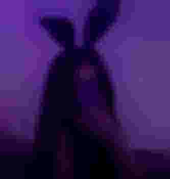 Киса Милиса фото 5