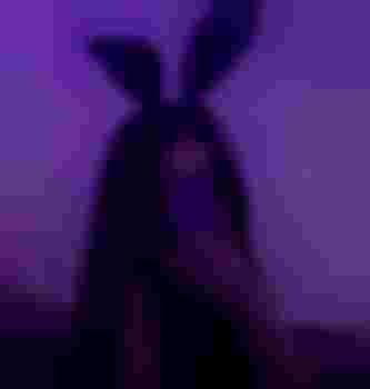 Киса Милиса фото 5