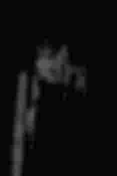 Госпожа Лилит фото 4