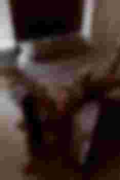 Стеша фото 2