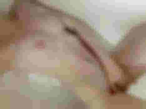 Мирослава фото 6