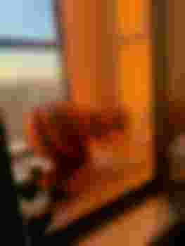 Елена главное фото