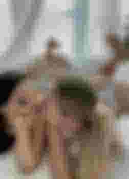 Сестрички фото 5