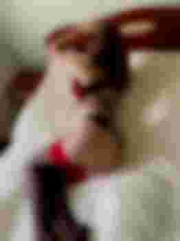 Варенька главное фото