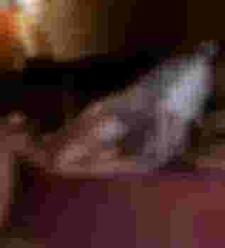 Лана главное фото