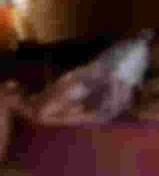 Лана главное фото