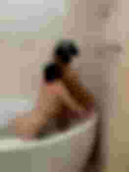 Шоколадки фото 2