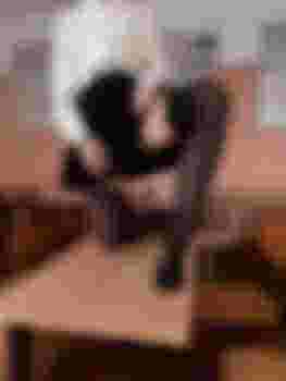 Милашка главное фото