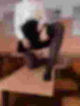 Милашка главное фото