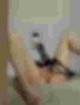 Полиночка фото 4