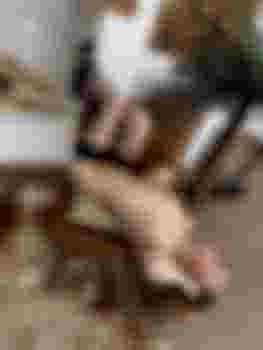 Камилла фото 2