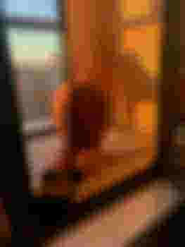 Елена фото 3