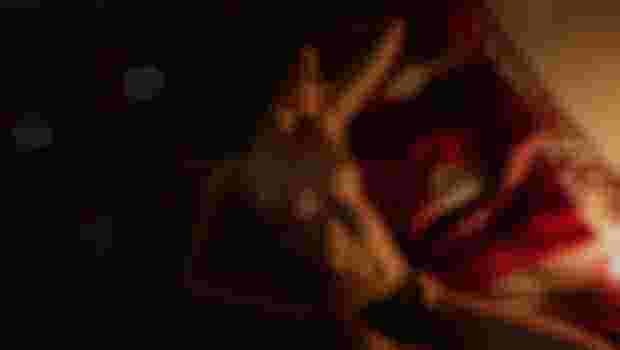 Света фото 2