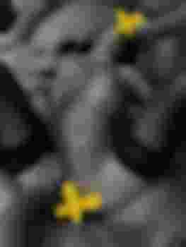 Валерия МЖМ фото 2