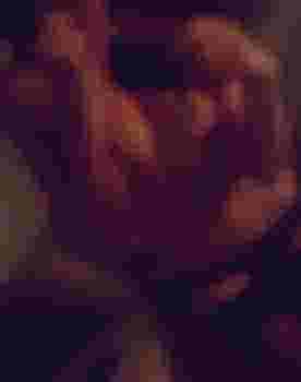 Елена фото 2