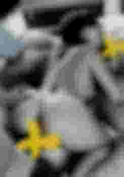 Валерия МЖМ фото 3