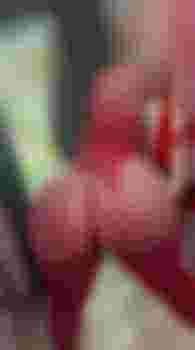 Оленька фото 2