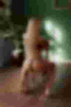 Стеша главное фото