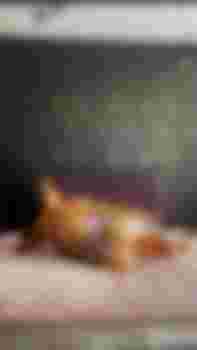 Полина фото 2