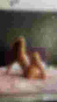 Полина фото 8