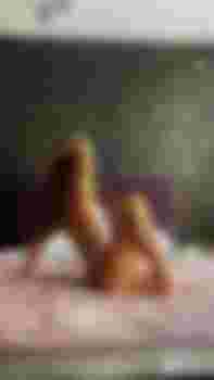 Полина фото 8