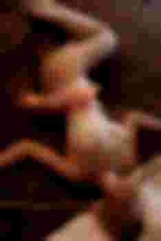 Елизавета фото 2