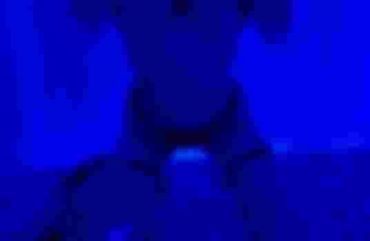 Алиса главное фото