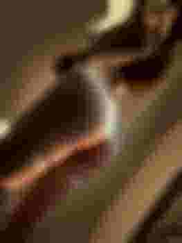 Алиса фото 4