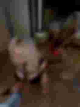 Эскорт агентство WoMaNart фото 6