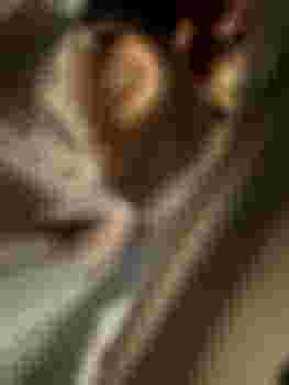 Алиса фото 6