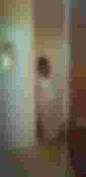 ПОЛИНА фото 4