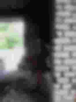 ВИКТОРИЯ фото 3